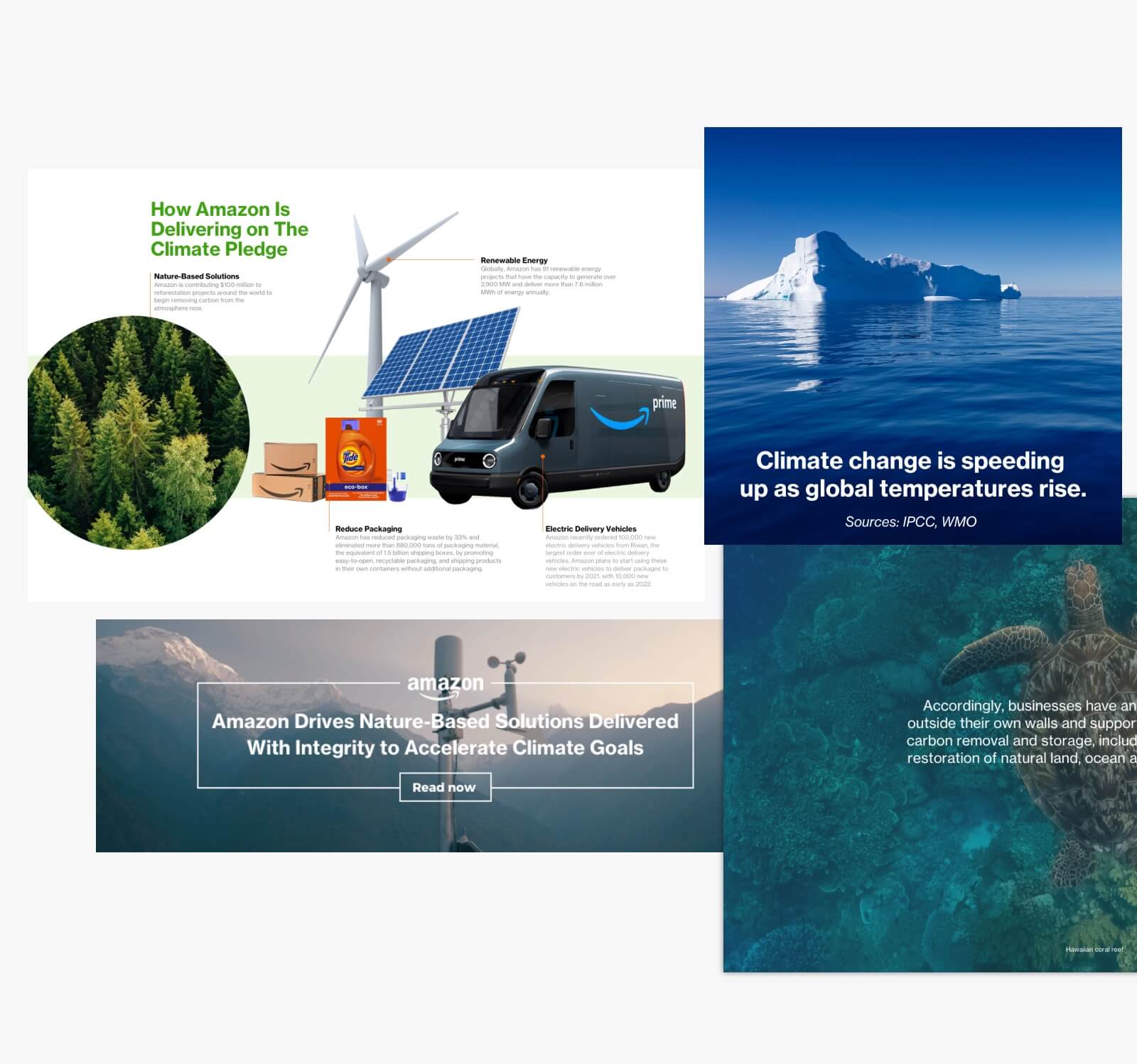 Amazon_Artboard_Left